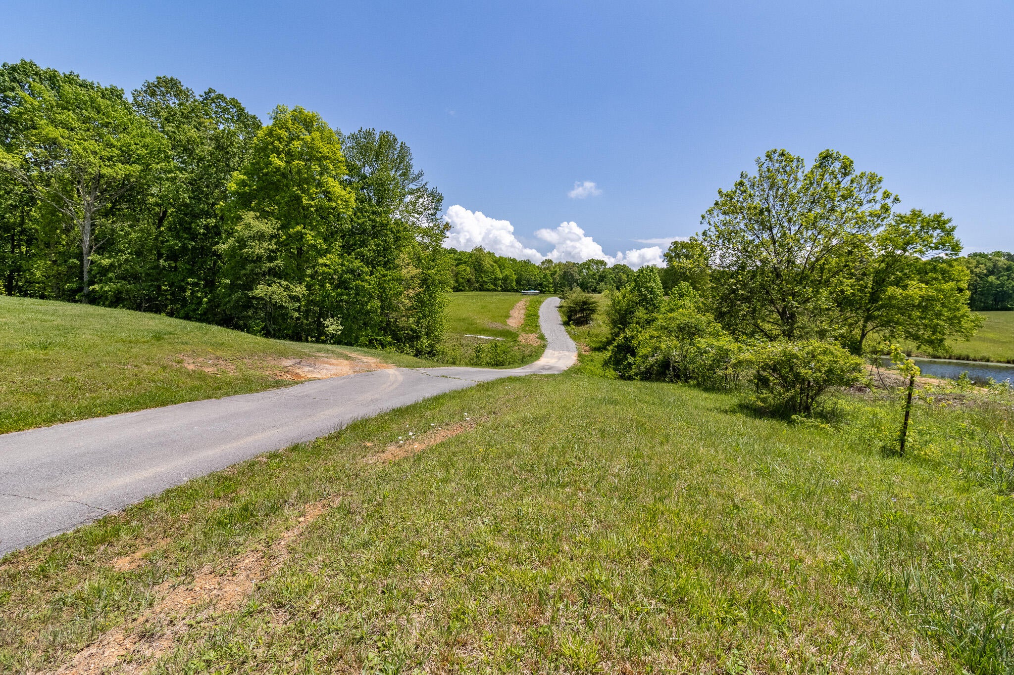 From the office, head North on US-127N/Rankin Ave. Turn left onto Coll – image 32