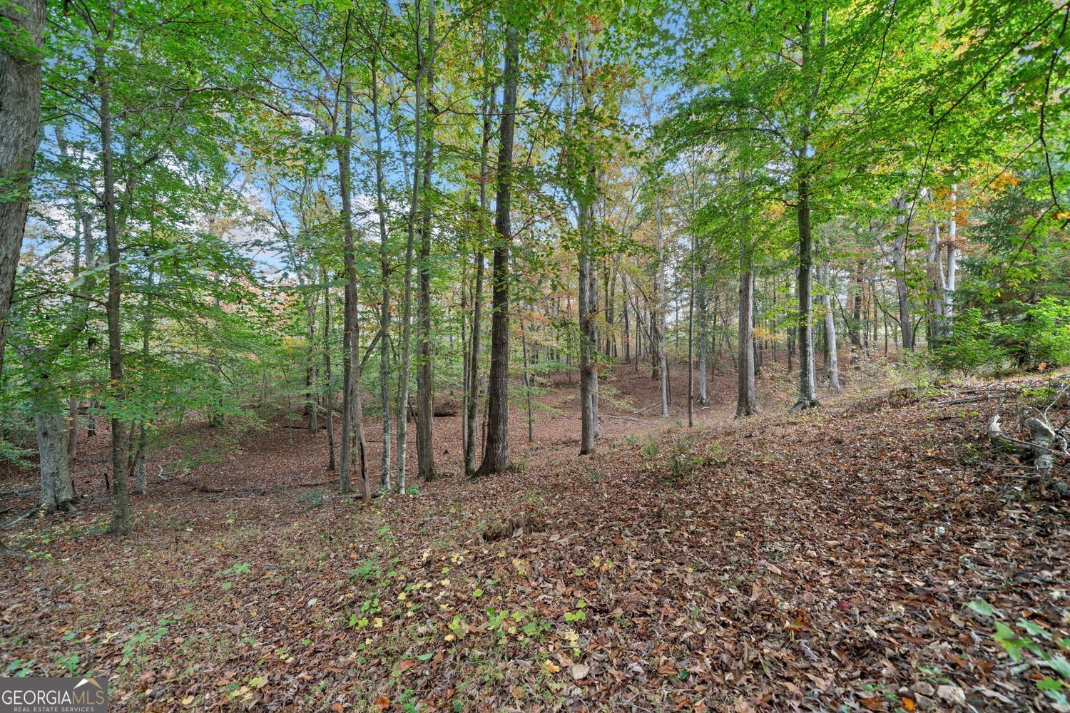 Rare opportunity to own 9 beautiful acres in the highly sought-after C – image 2