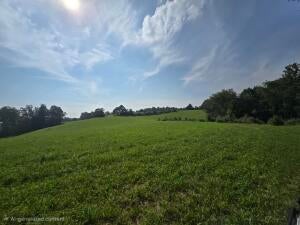Offering One of the Most Beautiful Farms in Nicholas County A Rare opp – image 17