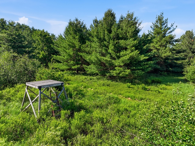 Your country oasis awaits! Once you see this beautiful home situated d – image 53