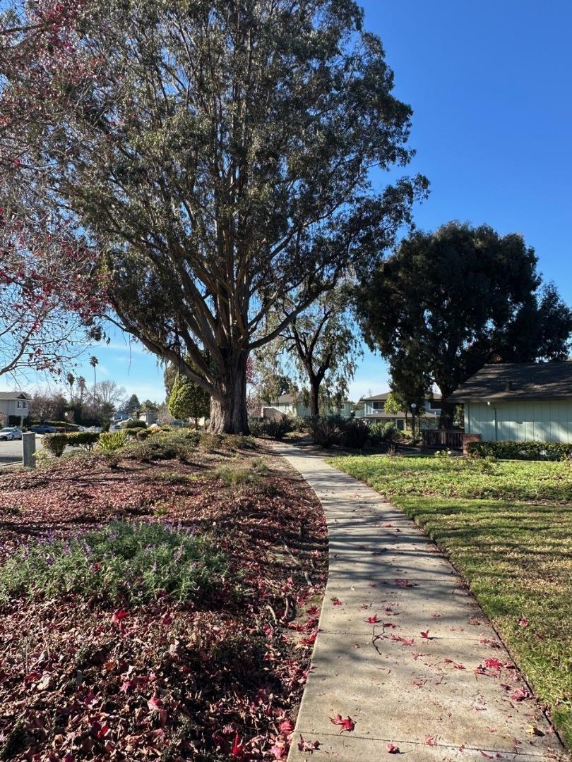 Who Wouldnt Want to live in desirable Capitola Knolls Community! Nestl – image 21