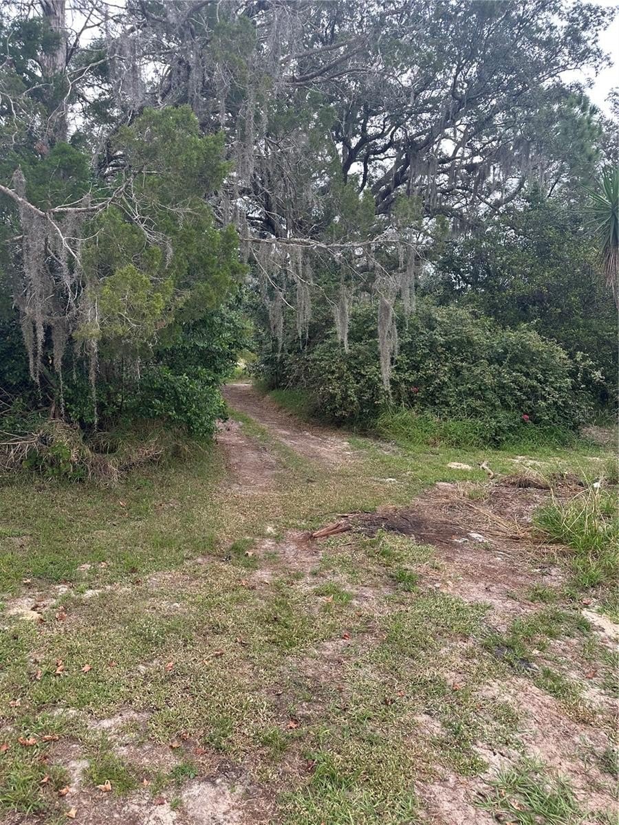 4998 4998 LAKE LOWERY Road, HAINES CITY, Florida, 33844, USA, 3 Bedrooms Bedrooms, ,1 BathroomBathrooms,Residential,For Sale,4998 LAKE LOWERY Road,P4936853