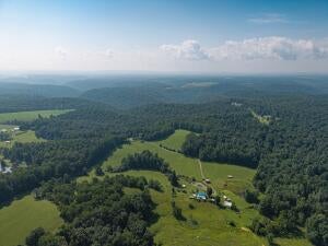 Offering One of the Most Beautiful Farms in Nicholas County A Rare opp – image 5