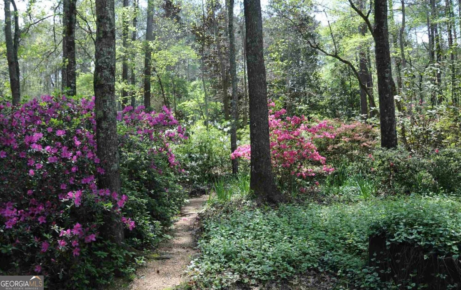 Welcome to 385 Vaughn Road-a private, 5.63-acre botanical sanctuary an – image 2