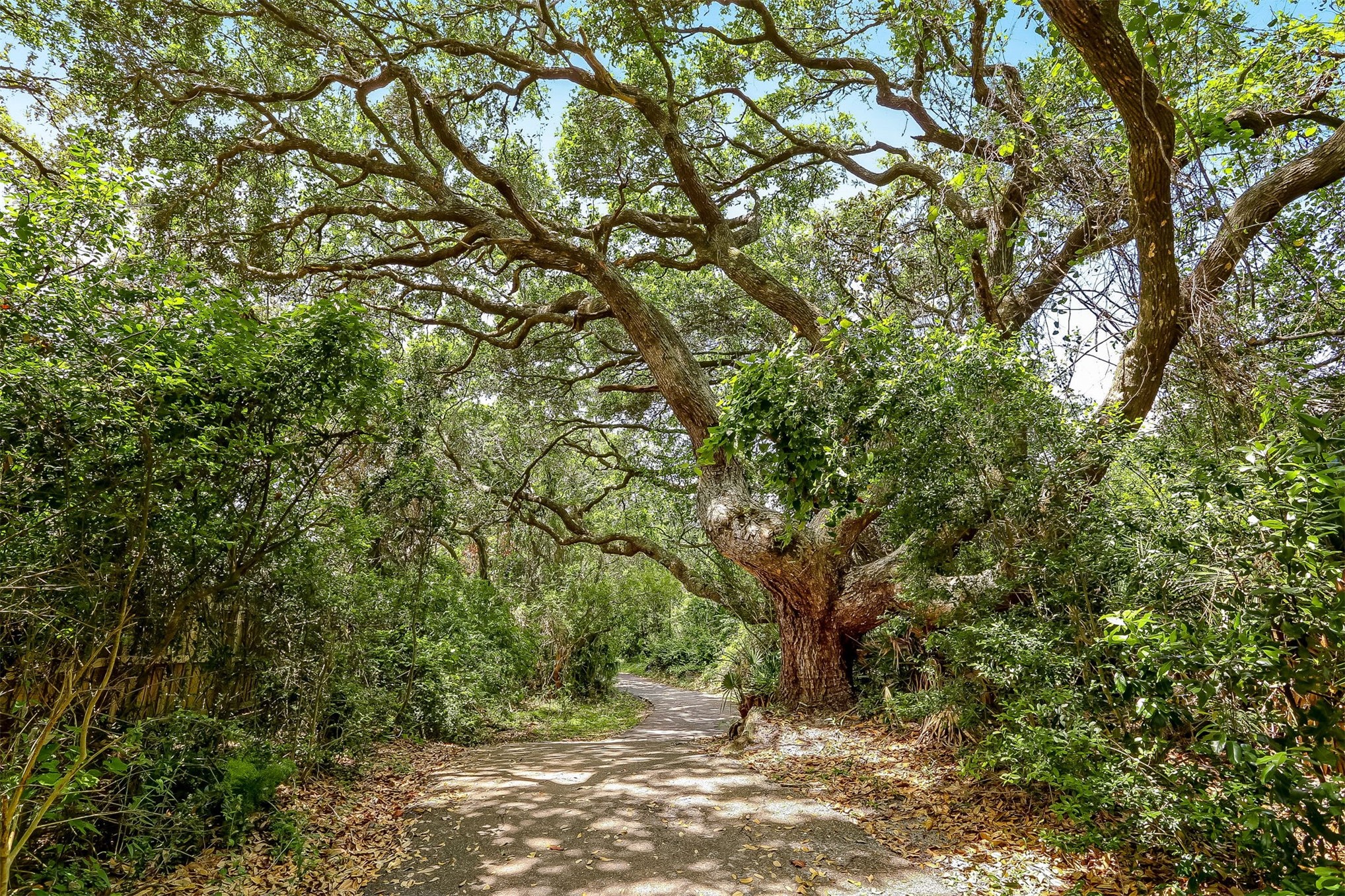 96159 96159 Hanging Moss Drive, Fernandina Beach, Florida, 32034, USA, 2 Bedrooms Bedrooms, ,3 BathroomsBathrooms,Residential,For Sale,96159 Hanging Moss Drive,114282