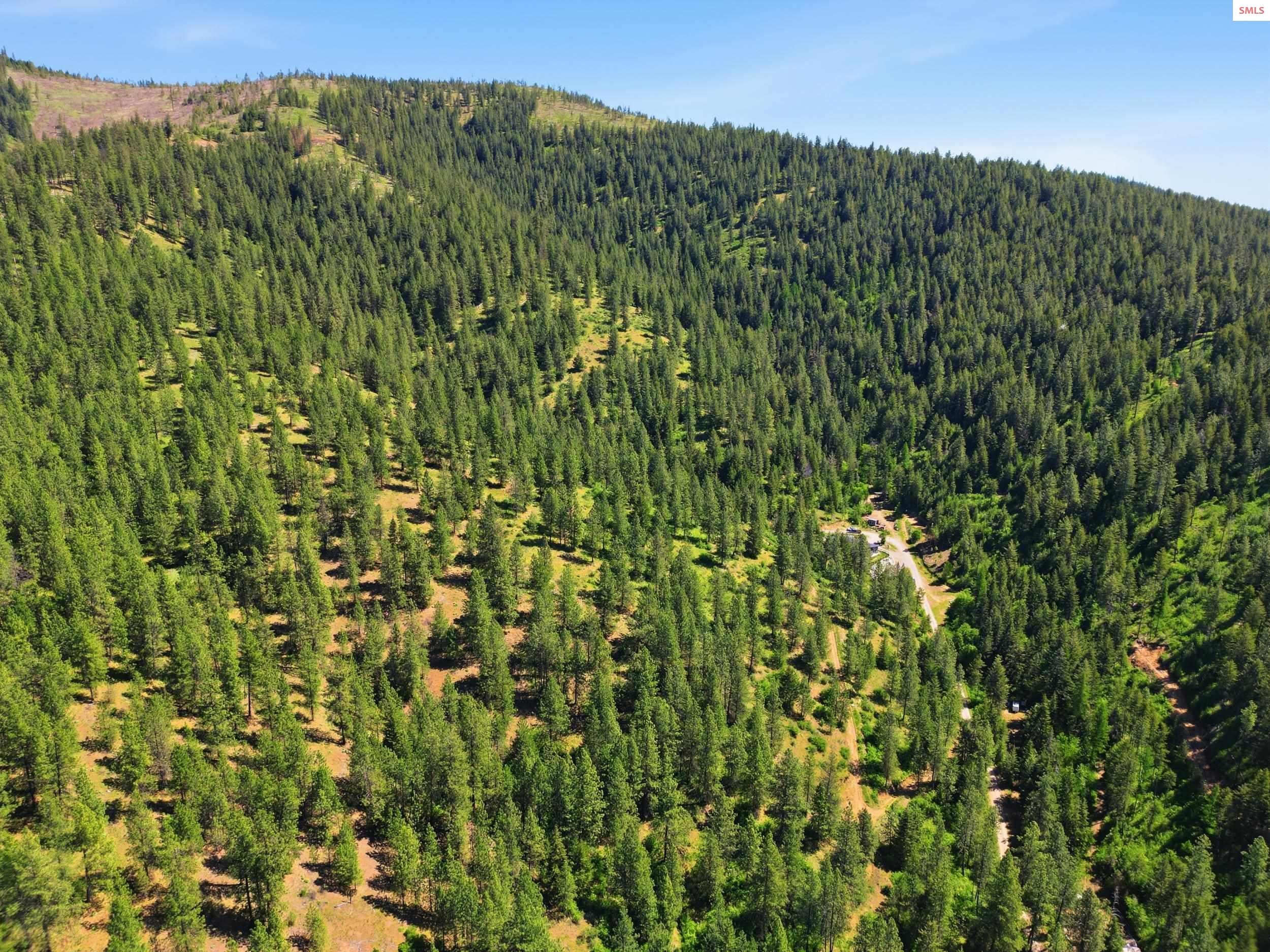 416 416 Miner Dr, Blanchard, Idaho, 83804, USA, 3 Bedrooms Bedrooms, ,Residential,For Sale,416 Miner Dr,20261195