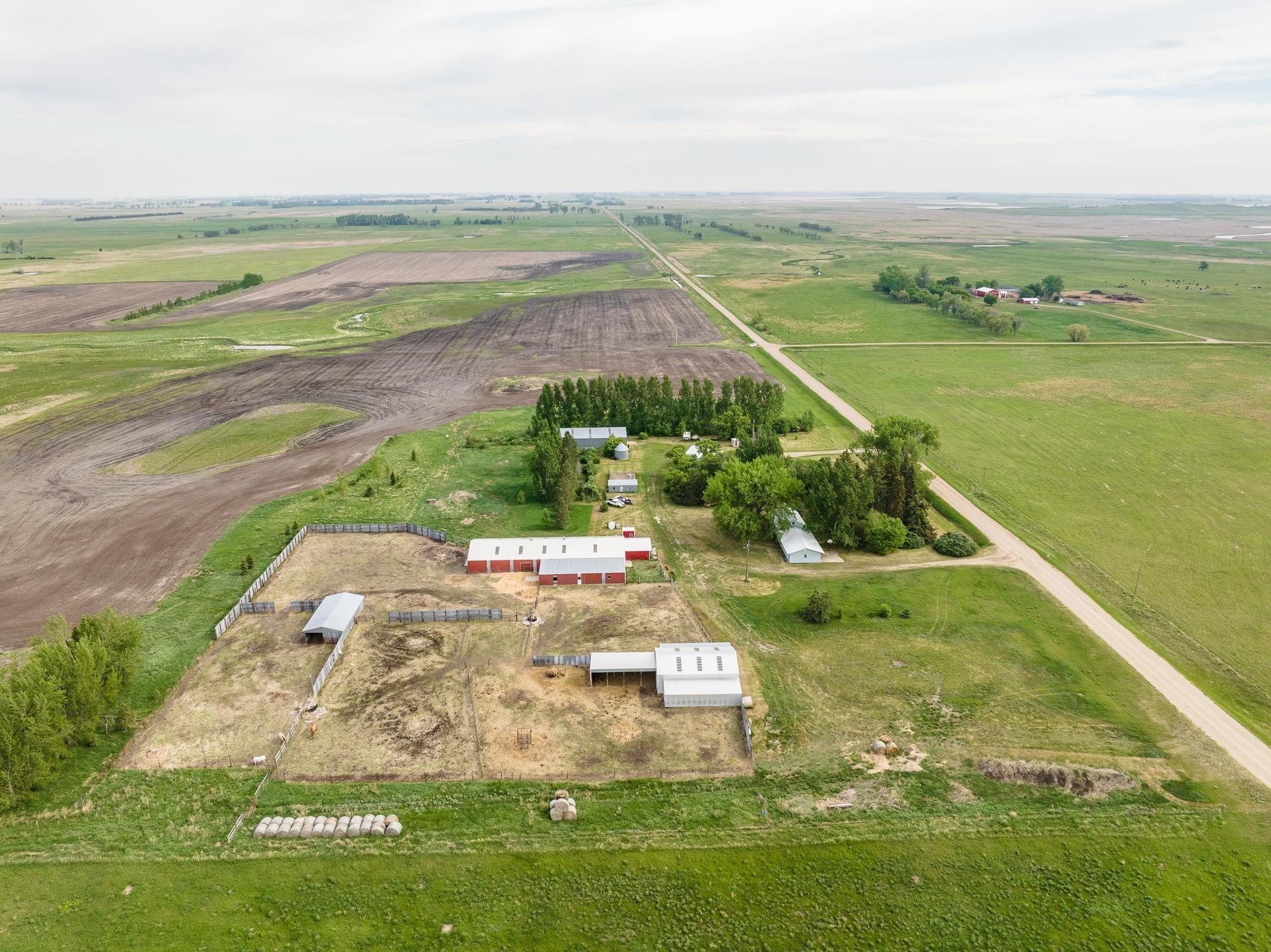 HWY 2 east of Granville 2 miles to 10 Ave N, Turn north second farm on – image 27