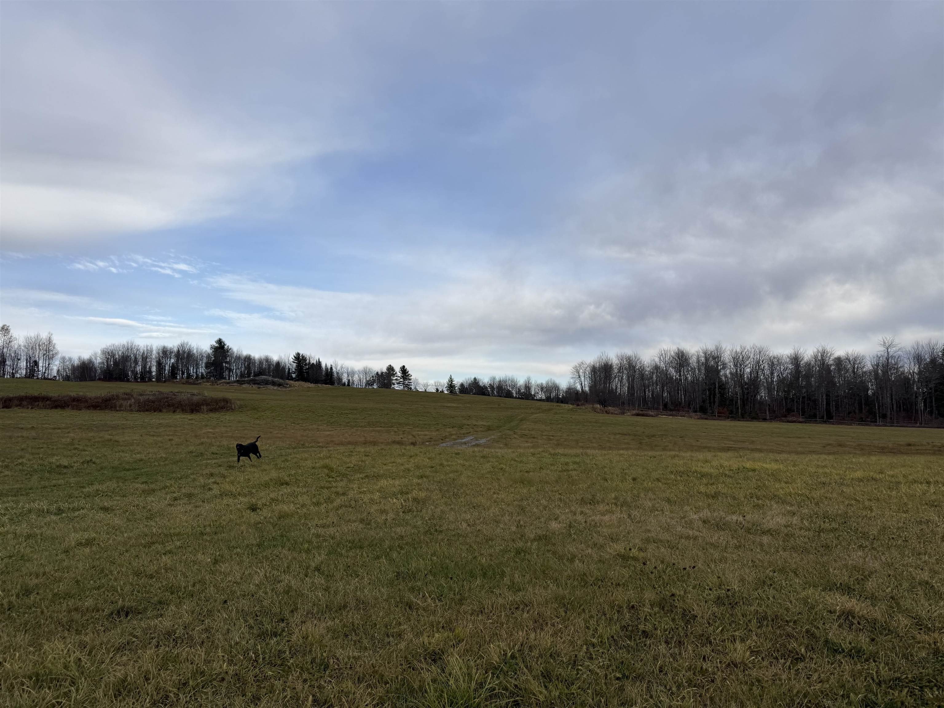00 00 Town Hill Road, Wolcott, Vermont, 05860, USA, ,Land,For Sale,00 Town Hill Road,8c548b02-515f-4088-b77c-7788e9