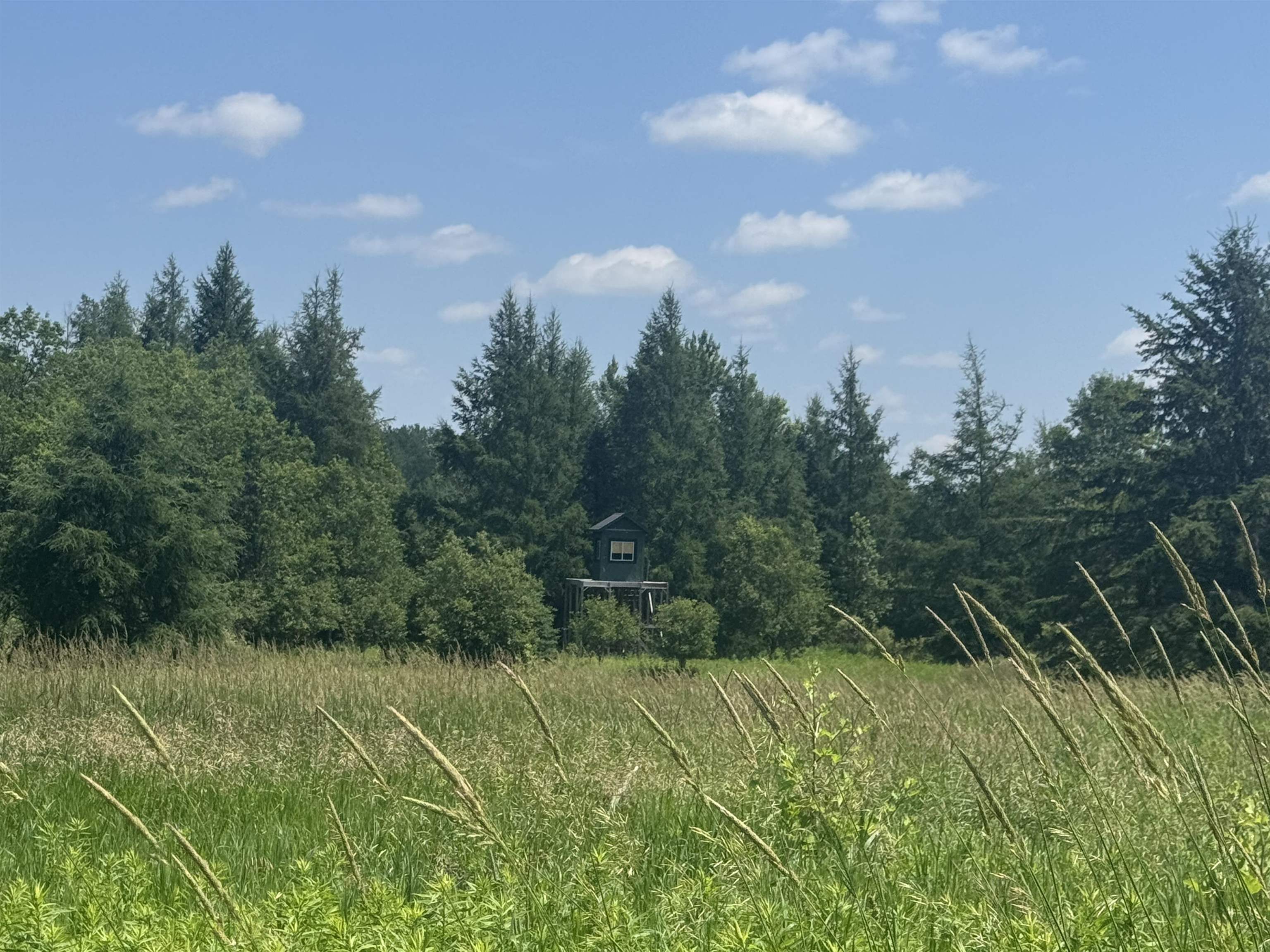 75500 75500 Joe Rein Road, RL, Glidden, Wisconsin, 54527, USA, 3 Bedrooms Bedrooms, ,3 BathroomsBathrooms,Residential,For Sale,75500 Joe Rein Road , RL,50319856