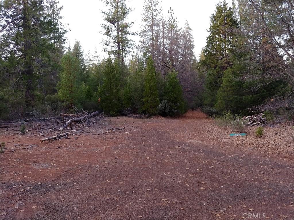 Fabulous 80 Acre Parcel with Manufactured Home and One Incredible Barn – image 29