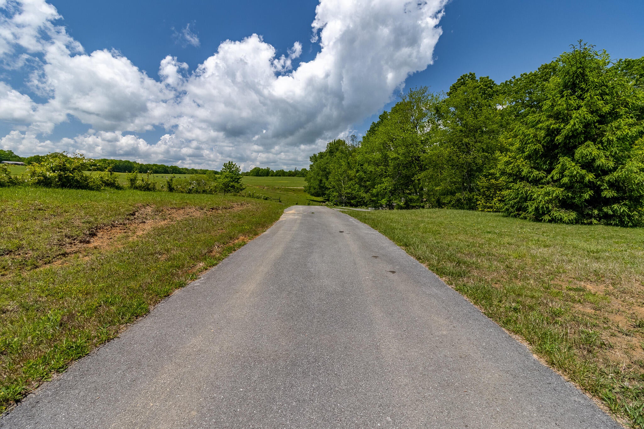From the office, head North on US-127N/Rankin Ave. Turn left onto Coll – image 31
