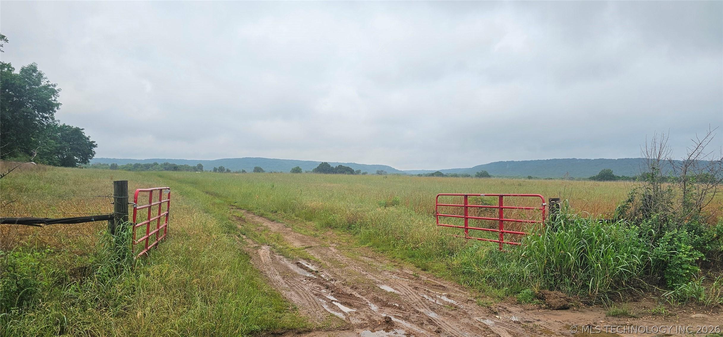 196 +/- premium pasture acres ideal for grazing or hay production with – image 3