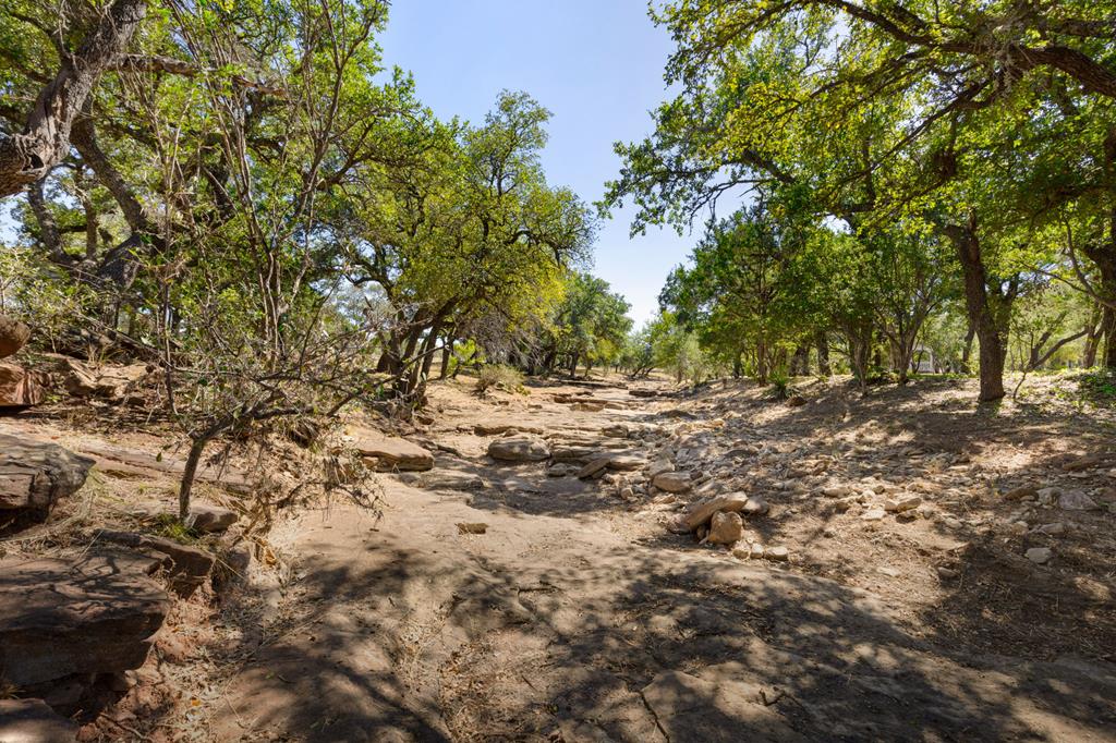 Four friendly Barbados sheep on 10 ag-exempt acres in the heart of the – image 31
