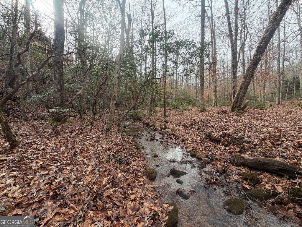 Endless Adventure Awaits where the Heart of the Cohutta Wilderness Are – image 57