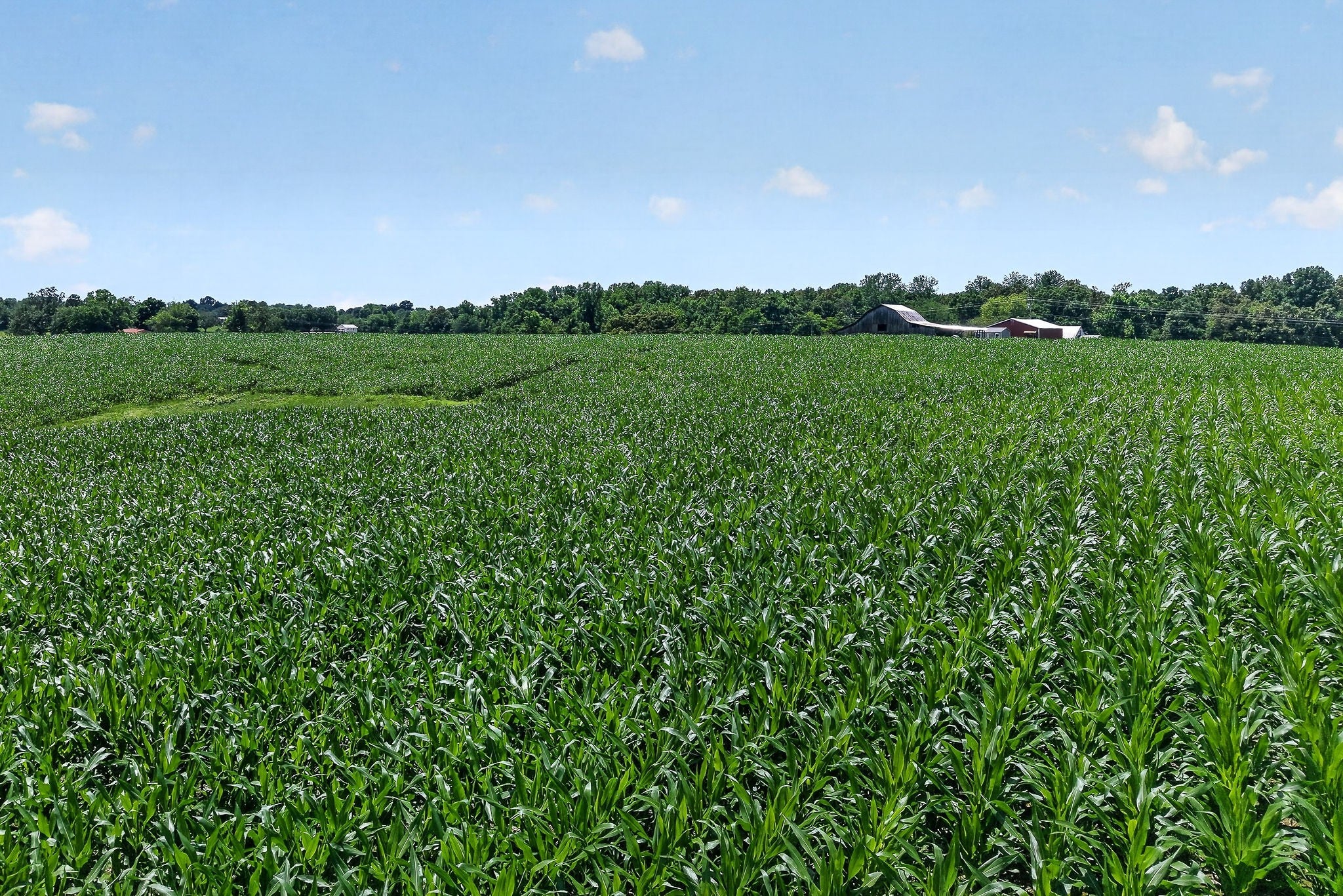 Opportunity, acreage, and potential all come together on this 41.16-ac – image 58