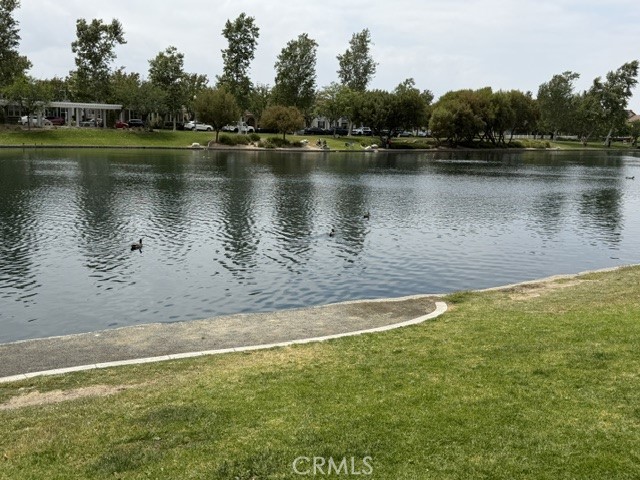 29001 29001 Savannah Drive, Temecula, California, 92591, USA, 4 Bedrooms Bedrooms, ,3 BathroomsBathrooms,Residential,For Sale,29001 Savannah Drive,SW26096502
