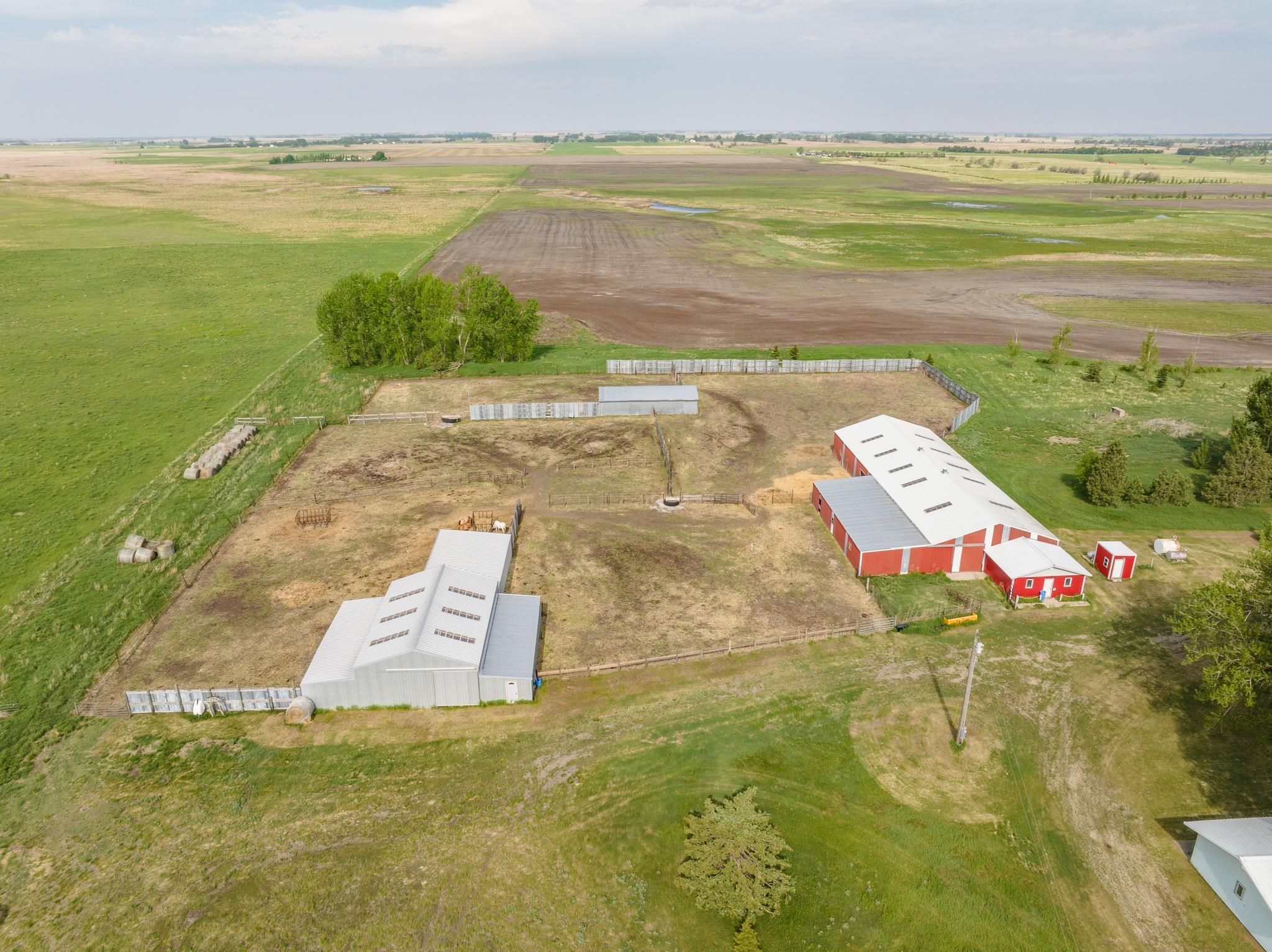 HWY 2 east of Granville 2 miles to 10 Ave N, Turn north second farm on – image 33