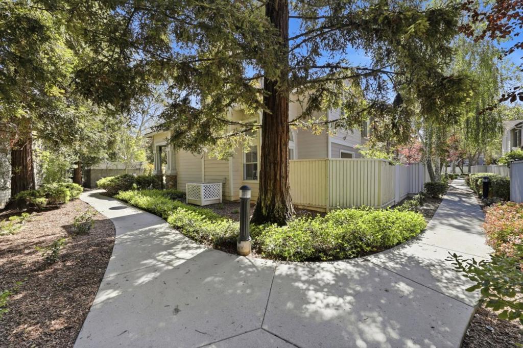 6121 6121 Lambeck Lane, San Jose, California, 95119, USA, 3 Bedrooms Bedrooms, ,3 BathroomsBathrooms,Residential,For Sale,6121 Lambeck Lane,efcfc92c-59f1-49b4-8318-c431f2