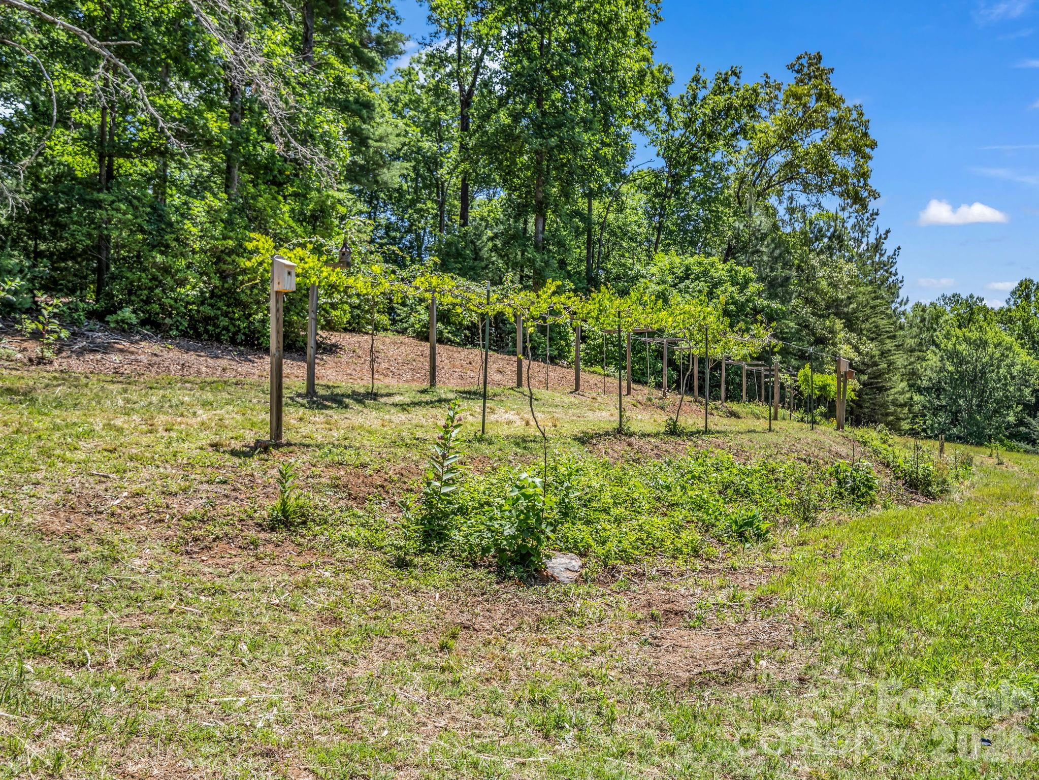 670 670 Cedar Creek Road, Lake Lure, North Carolina, 28746, USA, 3 Bedrooms Bedrooms, ,2 BathroomsBathrooms,Residential,For Sale,670 Cedar Creek Road,4382823