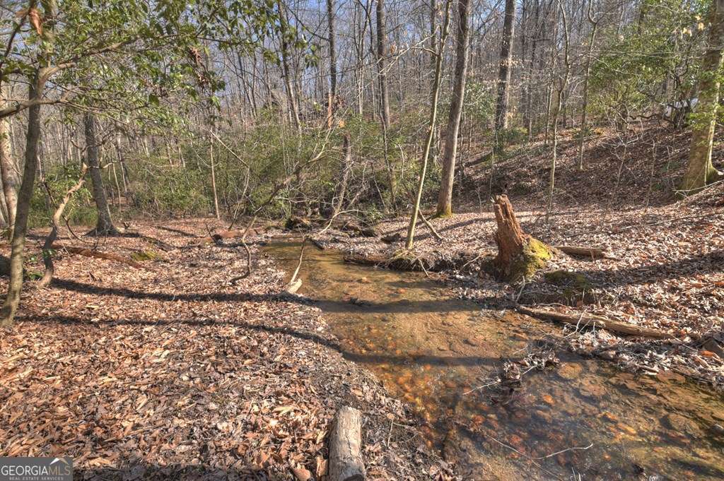 Endless Adventure Awaits where the Heart of the Cohutta Wilderness Are – image 34