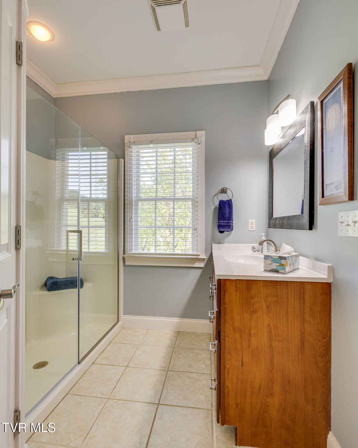 1 1 Honeysuckle Court, Johnson City, Tennessee, 37615, USA, 5 Bedrooms Bedrooms, ,5 BathroomsBathrooms,Residential,For Sale,1 Honeysuckle Court,6a0f69c9-074f-47a6-872e-868ad5