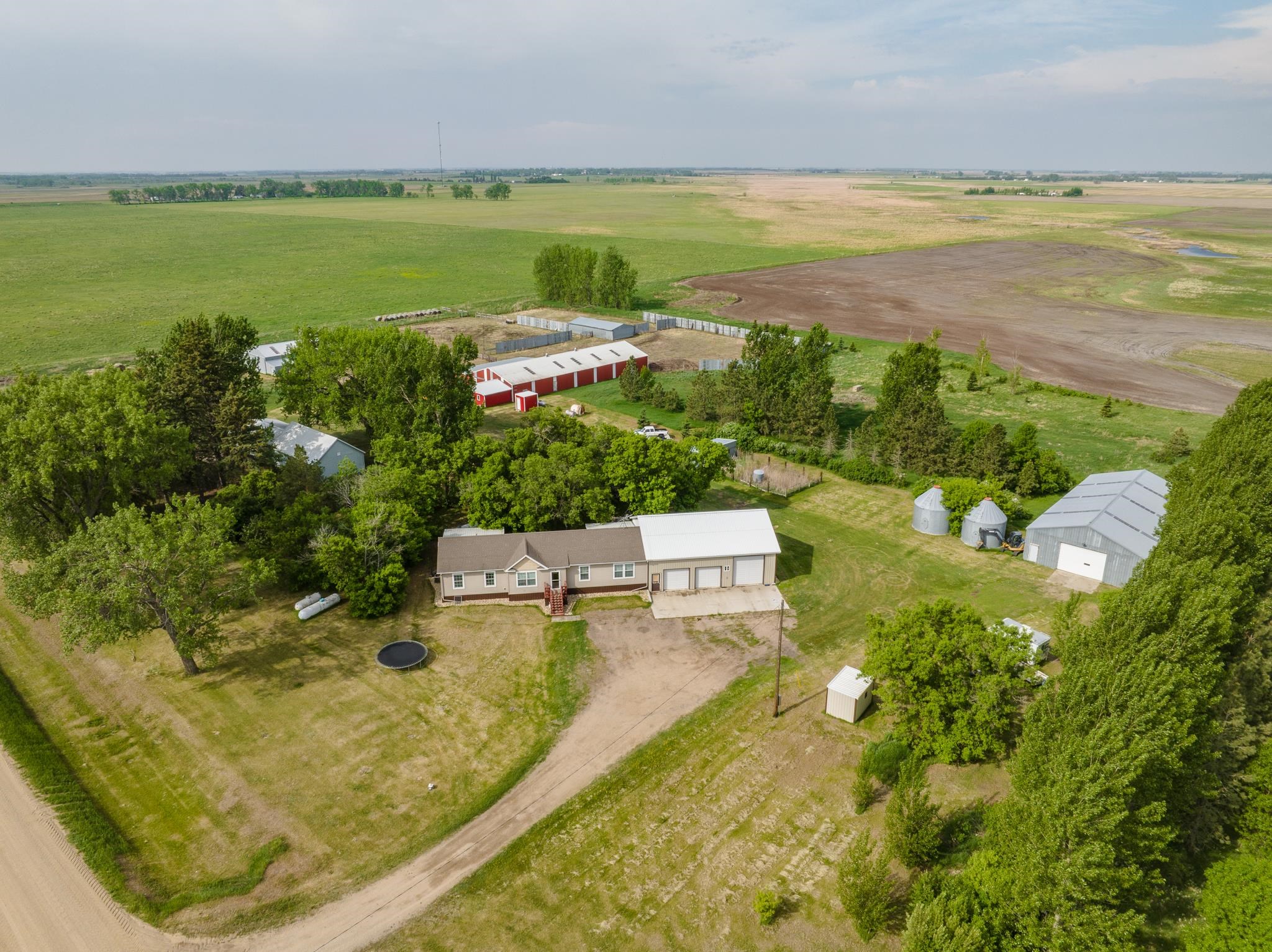 HWY 2 east of Granville 2 miles to 10 Ave N, Turn north second farm on – image 3