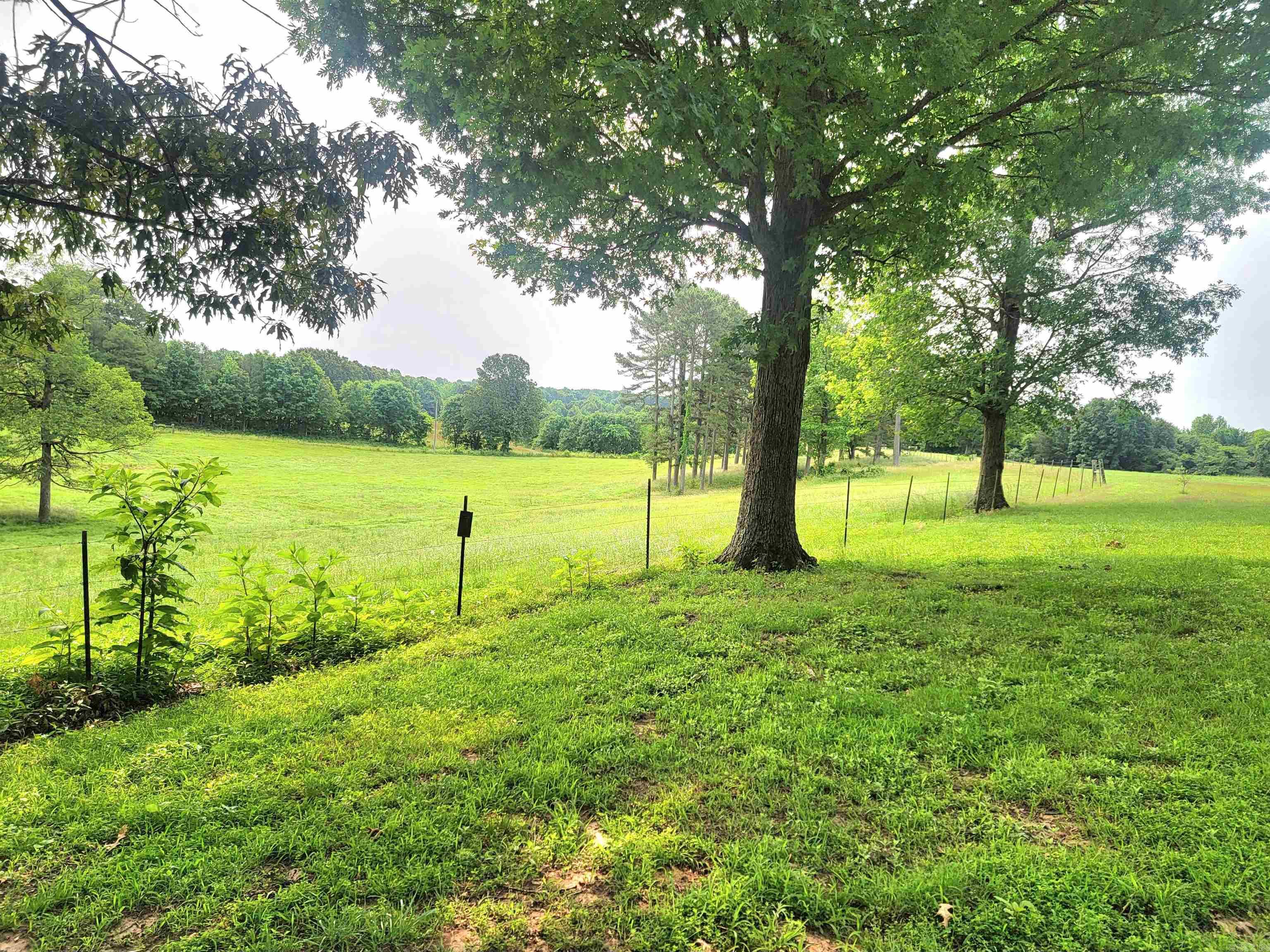 Turn North off of Hwy 412 West onto 609 Road. Follow around sharp curv – image 39