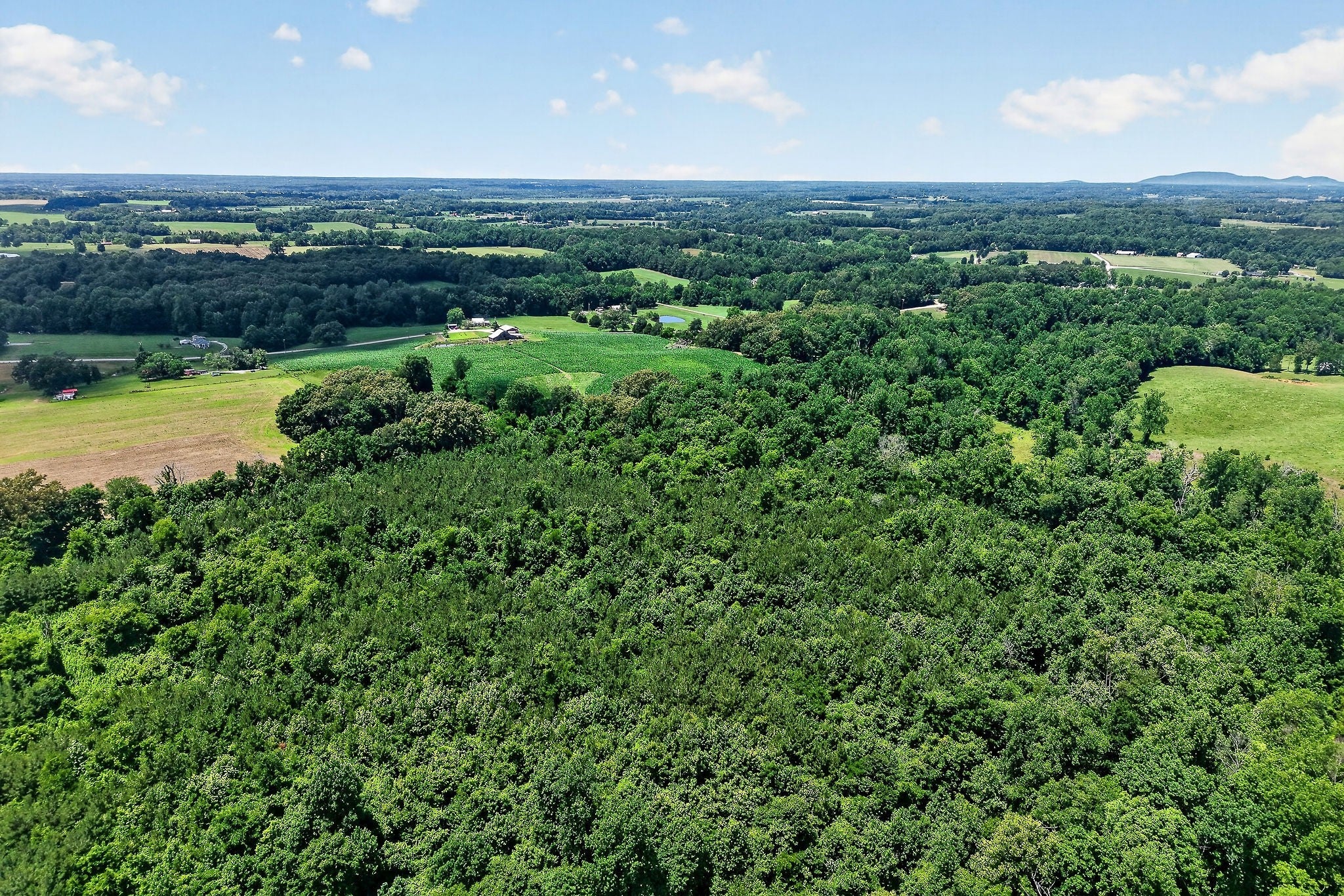Opportunity, acreage, and potential all come together on this 41.16-ac – image 55
