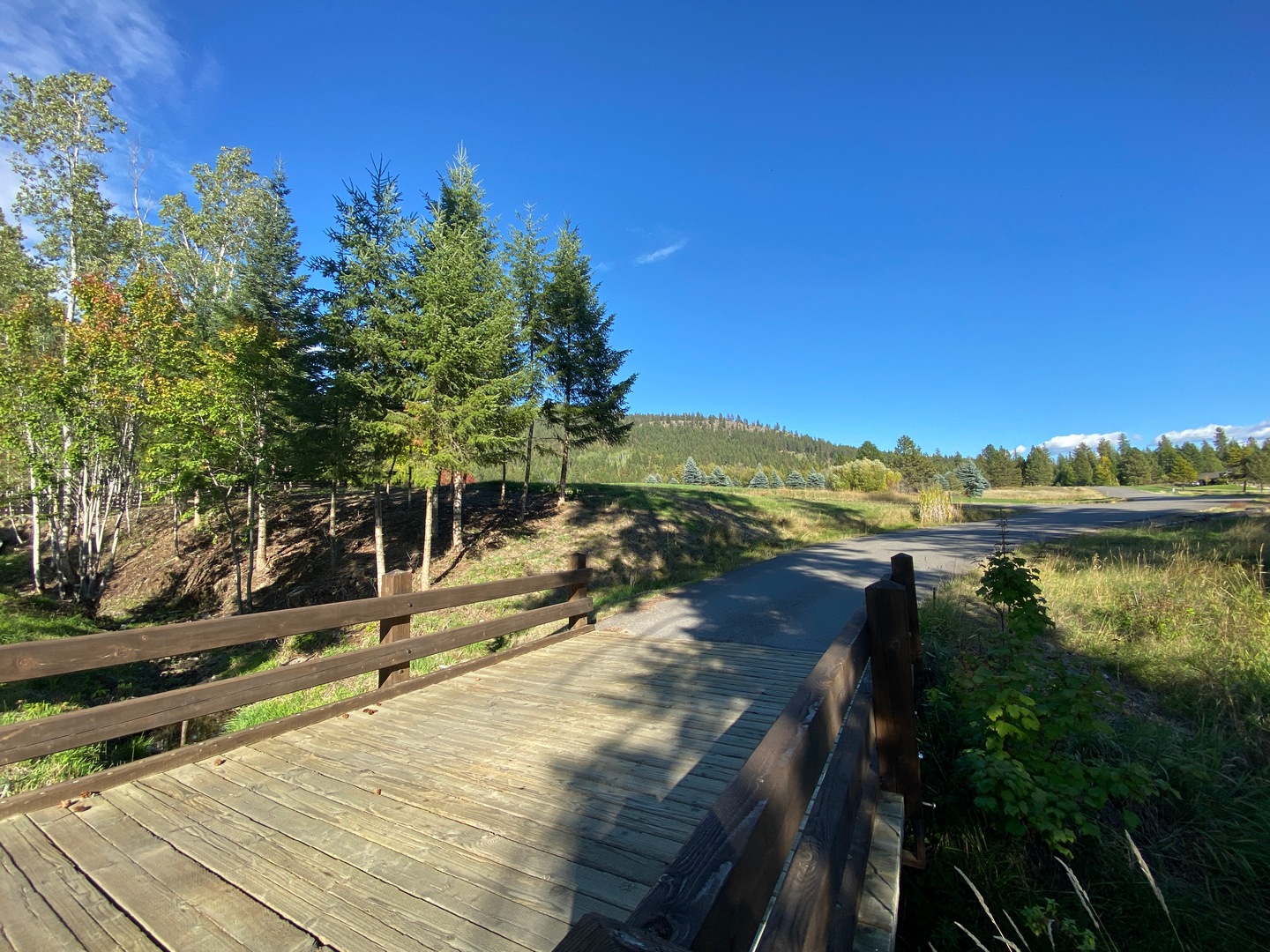 427 427 Wood Duck Lane, Bonners Ferry, Idaho, 83805, USA, 3 Bedrooms Bedrooms, ,2 BathroomsBathrooms,Residential,For Sale,427 Wood Duck Lane,cc178308-f014-4d2e-ac5a-8c284a