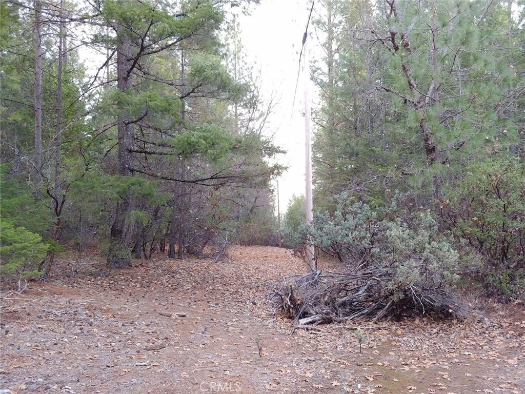 Fabulous 80 Acre Parcel with Manufactured Home and One Incredible Barn – image 14