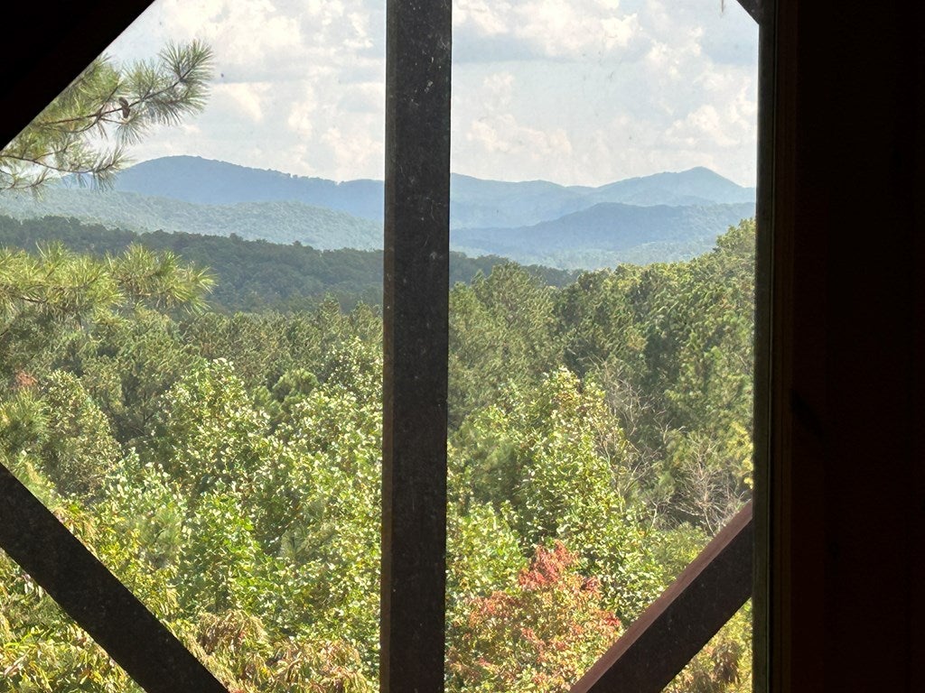 WAKE UP to the Sweeping Long-Range MTN VIEWS EVERY MORNING in this FUL – image 87