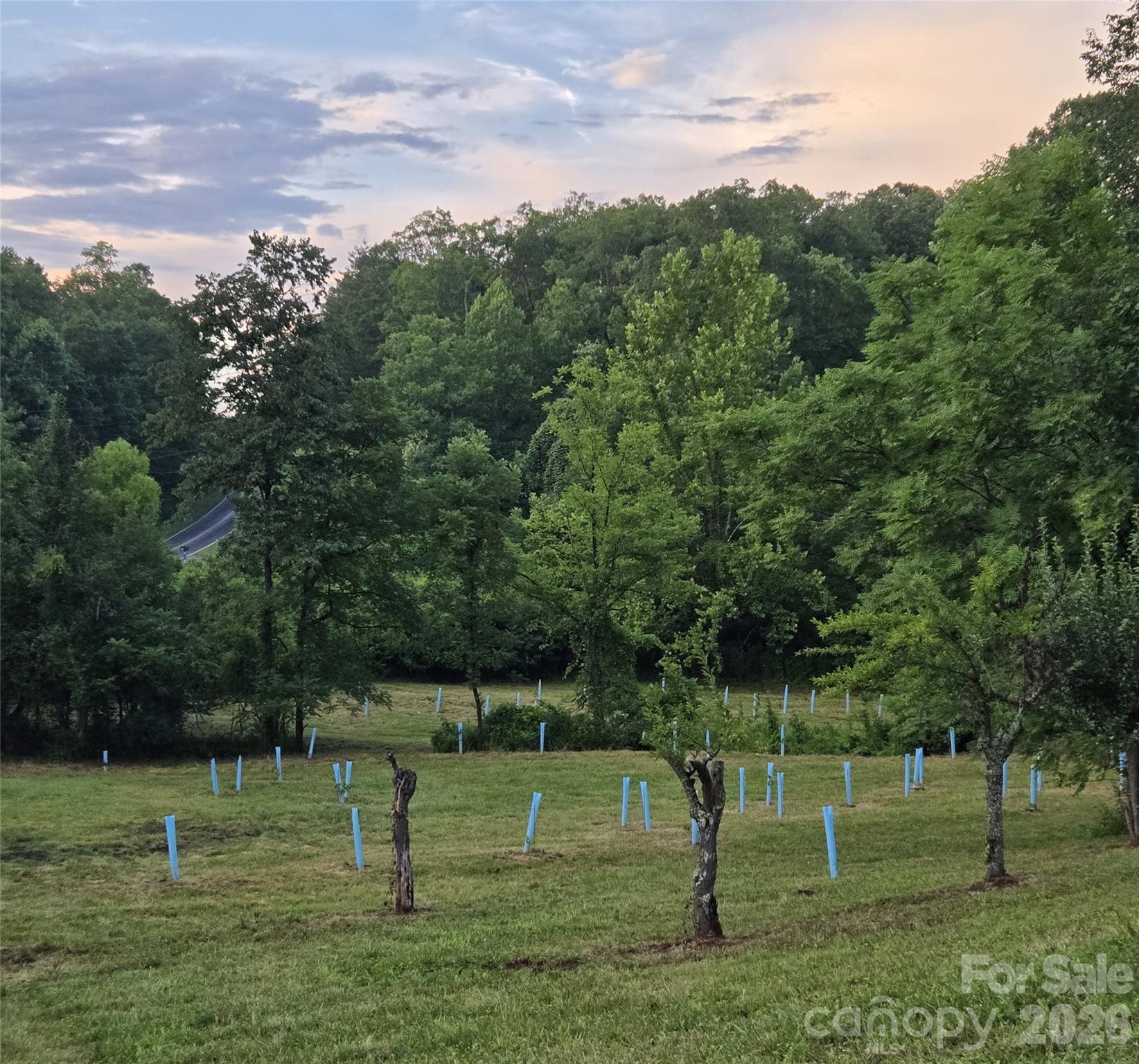 670 670 Cedar Creek Road, Lake Lure, North Carolina, 28746, USA, 3 Bedrooms Bedrooms, ,2 BathroomsBathrooms,Residential,For Sale,670 Cedar Creek Road,4382823