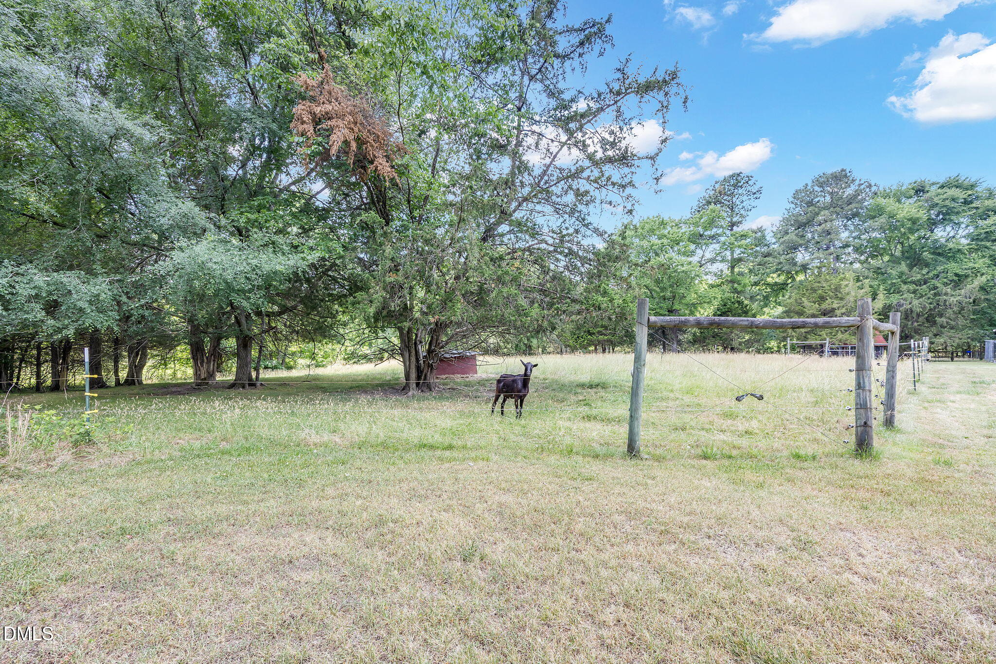 2204 2204 Us-158, Oxford, North Carolina, 27565, USA, 2 Bedrooms Bedrooms, ,2 BathroomsBathrooms,Residential,For Sale,2204 Us-158,10175135