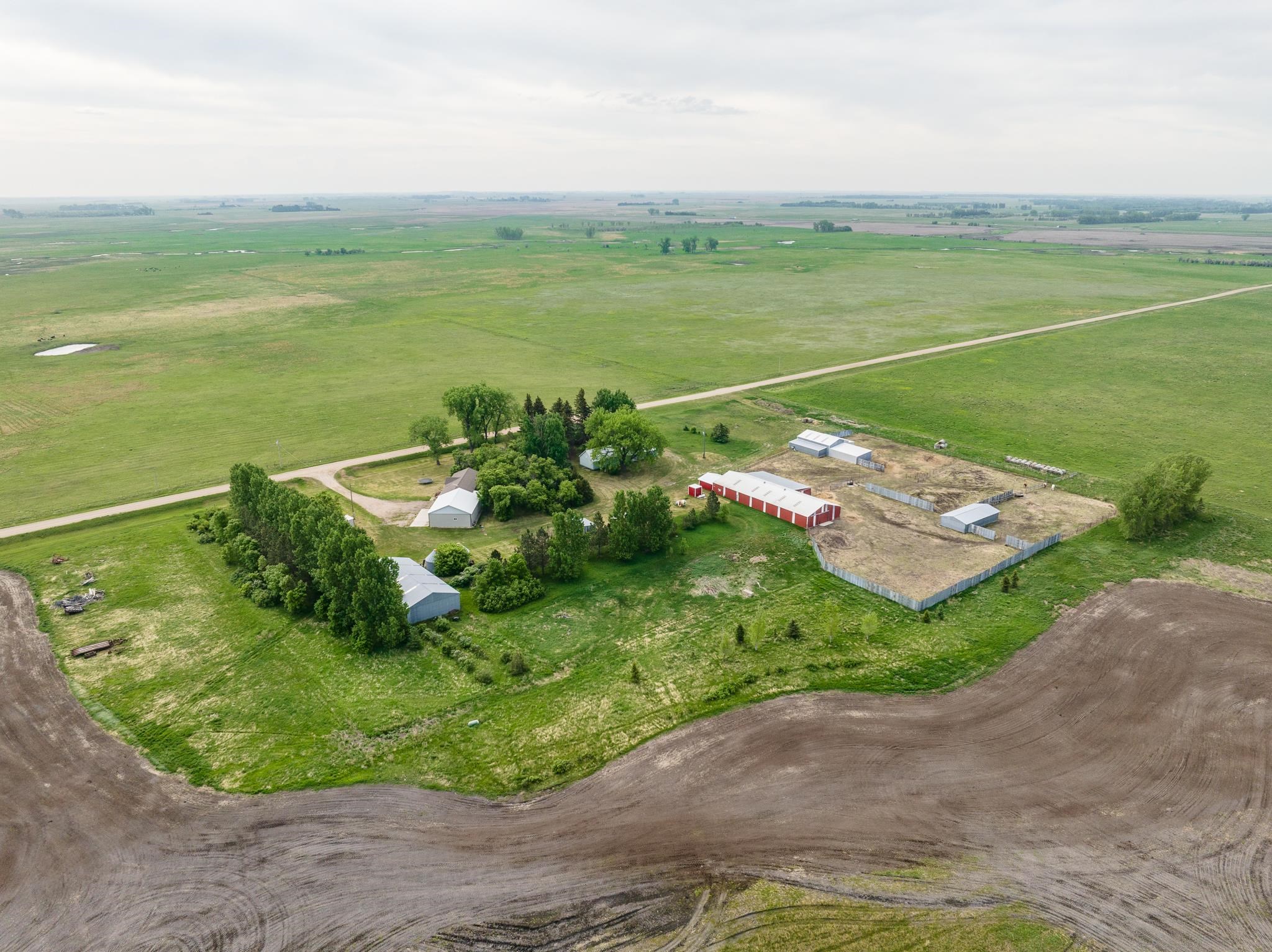 HWY 2 east of Granville 2 miles to 10 Ave N, Turn north second farm on – image 29