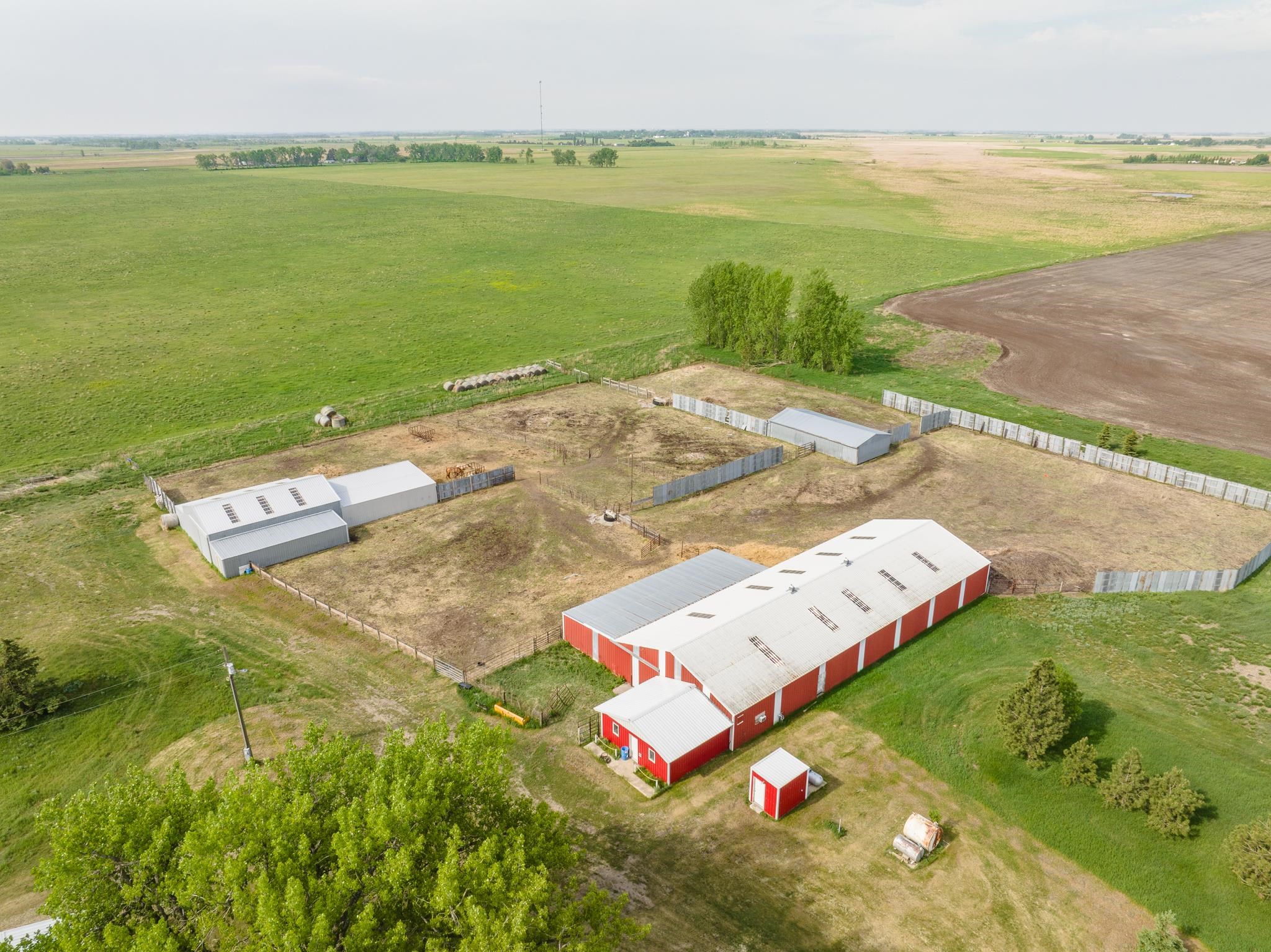HWY 2 east of Granville 2 miles to 10 Ave N, Turn north second farm on – image 34