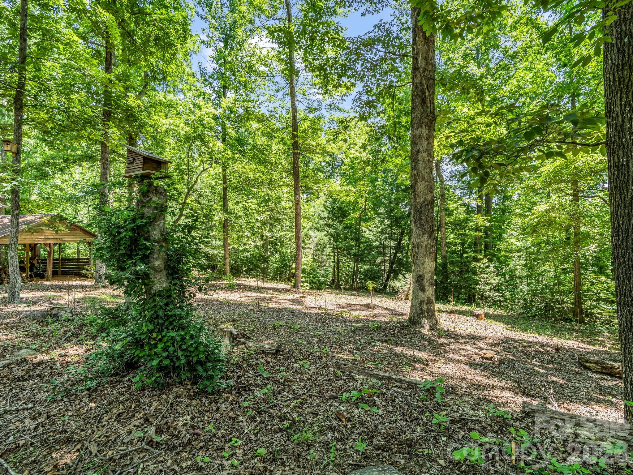 670 670 Cedar Creek Road, Lake Lure, North Carolina, 28746, USA, 3 Bedrooms Bedrooms, ,2 BathroomsBathrooms,Residential,For Sale,670 Cedar Creek Road,4382823