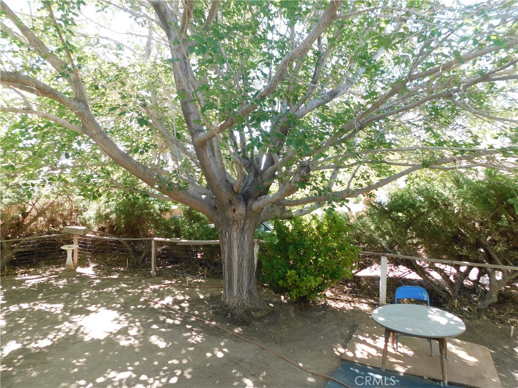 45985 45985 Cottonwood Road, Newberry Springs, California, 92365, USA, 4 Bedrooms Bedrooms, ,6 BathroomsBathrooms,Residential,For Sale,45985 Cottonwood Road,HD25258107