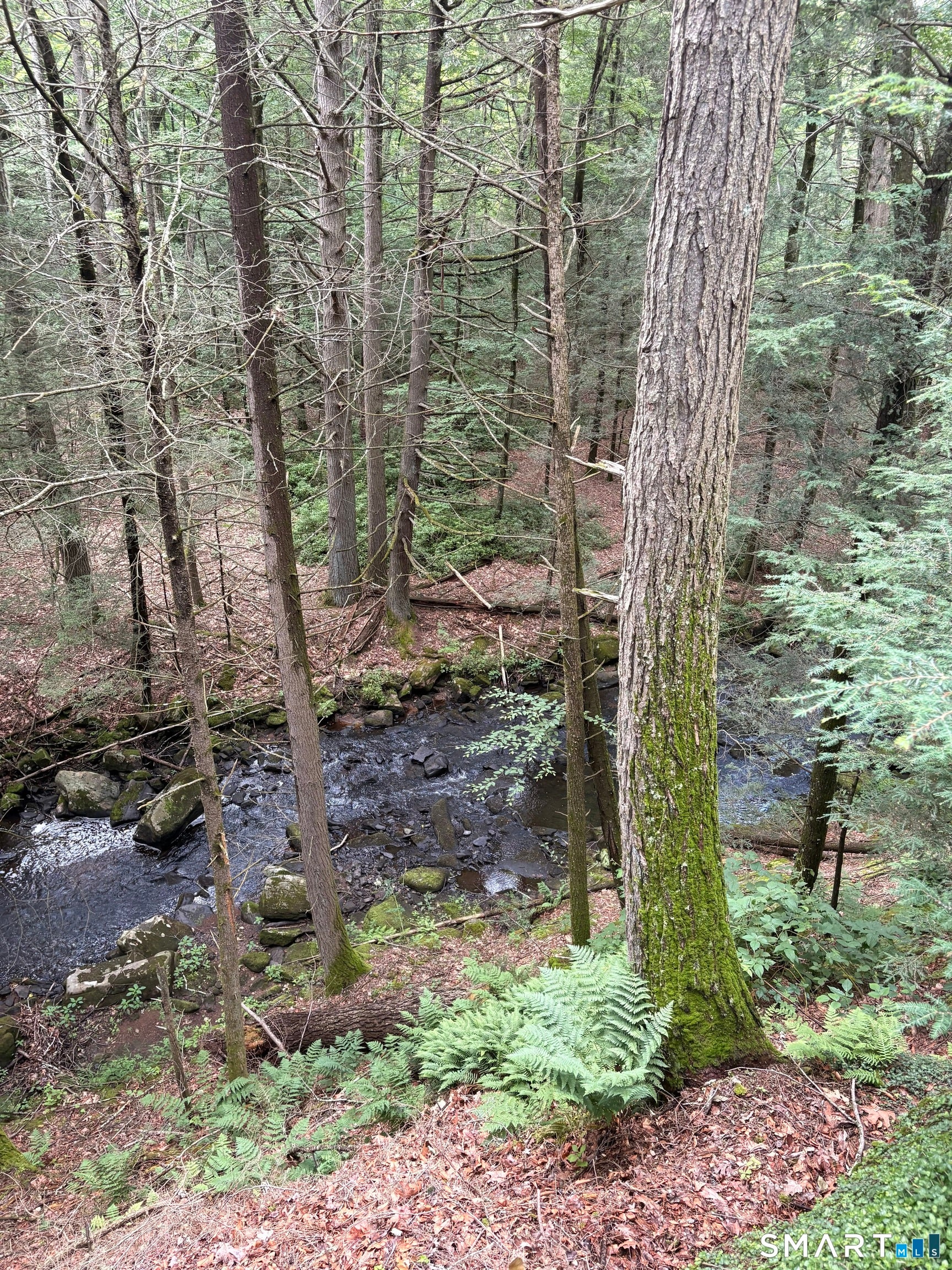 Tucked away in a peaceful wooded setting along the Blackledge River, t – image 37