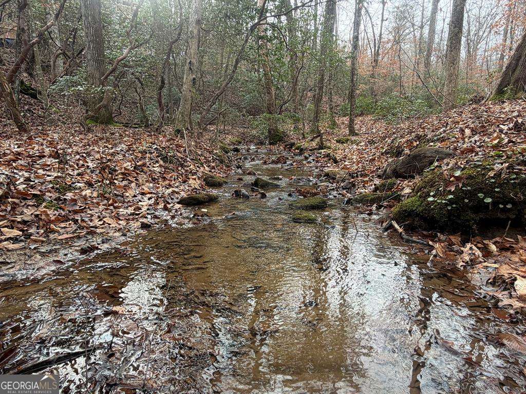 Endless Adventure Awaits where the Heart of the Cohutta Wilderness Are – image 43