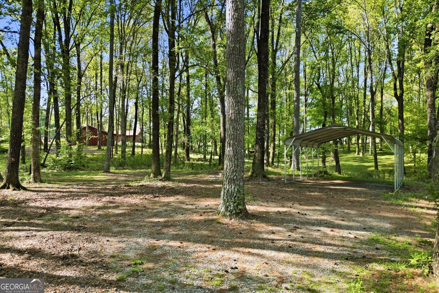 Escape to the perfect blend of privacy, functionality, and North Georg – image 4