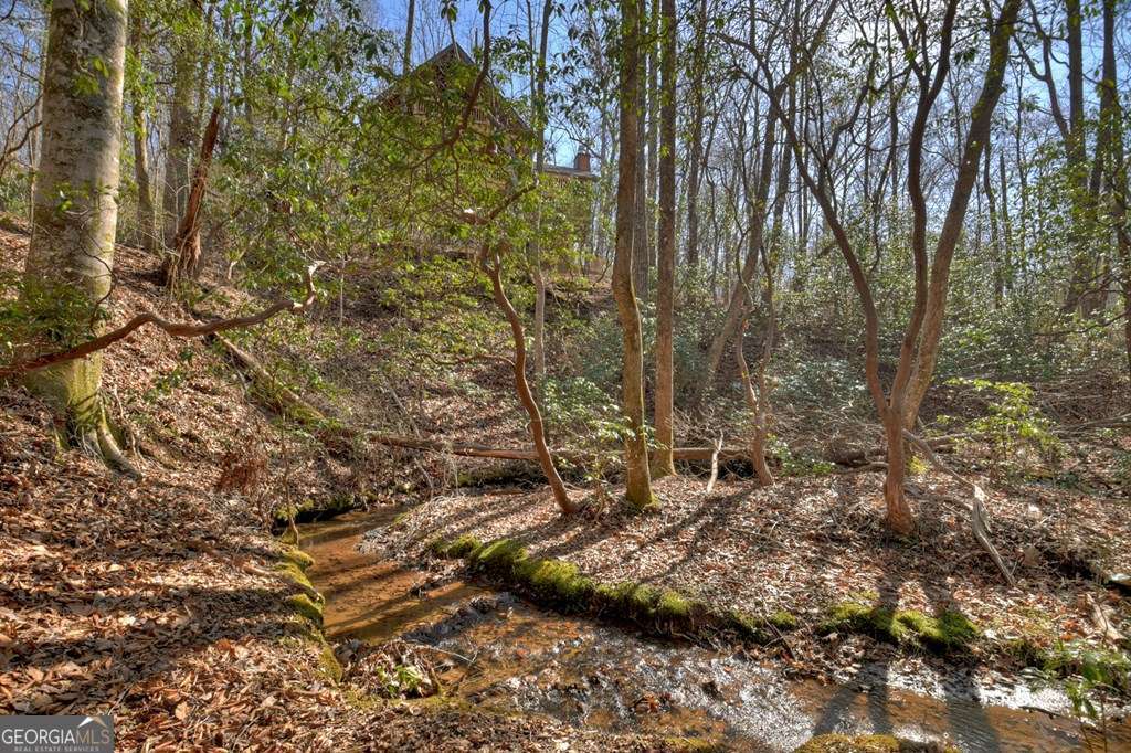 Endless Adventure Awaits where the Heart of the Cohutta Wilderness Are – image 17