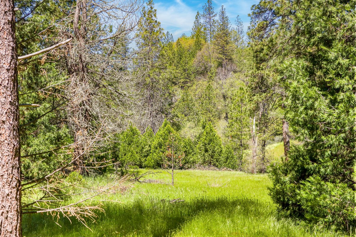 7698 7698 Swiss Ranch Road, Mountain Ranch, California, 95246, USA, ,Land,For Sale,7698 Swiss Ranch Road,226030980