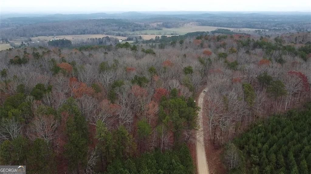 Discover nearly 125 acres of pristine, wooded land nestled in the hear – image 3