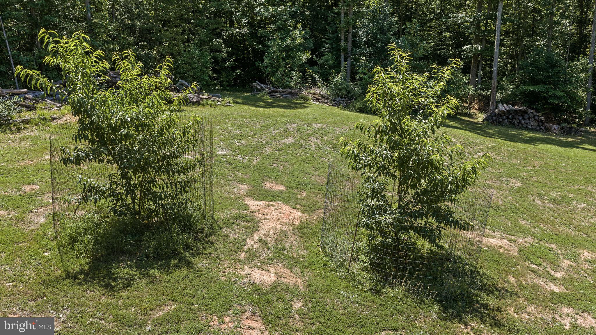 621 621 Ridgemont Drive, Louisa, Virginia, 23093, USA, 5 Bedrooms Bedrooms, ,3 BathroomsBathrooms,Residential,For Sale,621 Ridgemont Drive,VALA2010174