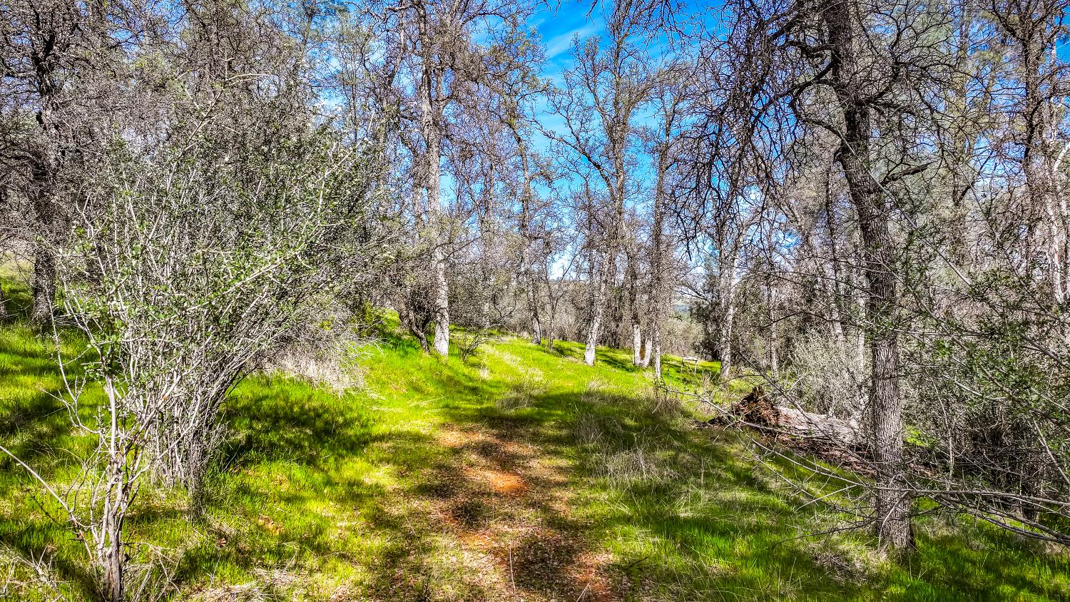 5603 5603 Gold Mountain, Mountain Ranch, California, 95246, USA, 3 Bedrooms Bedrooms, ,2 BathroomsBathrooms,Residential,For Sale,5603 Gold Mountain,226031383
