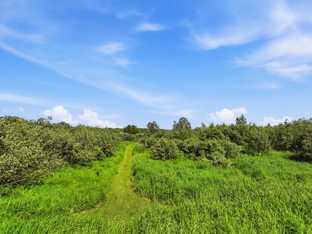 Your country oasis awaits! Once you see this beautiful home situated d – image 54