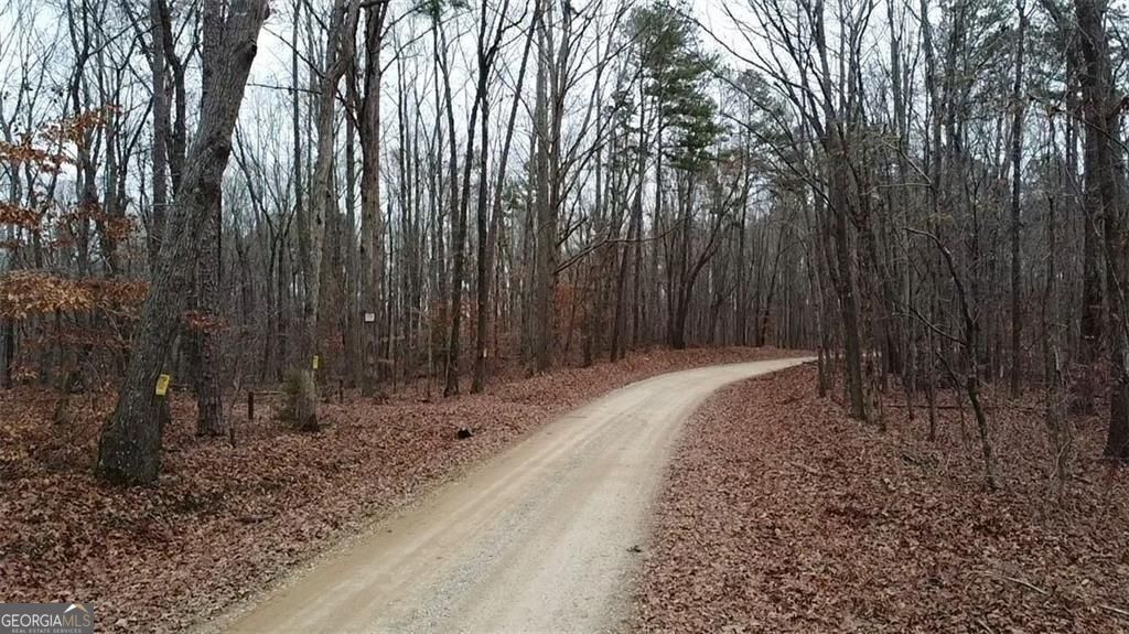 Discover nearly 125 acres of pristine, wooded land nestled in the hear – image 6