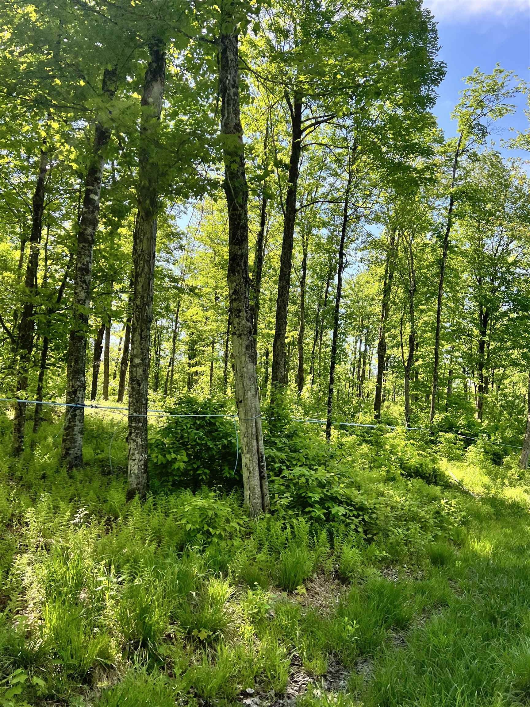00 00 Town Hill Road, Wolcott, Vermont, 05860, USA, ,Land,For Sale,00 Town Hill Road,8c548b02-515f-4088-b77c-7788e9