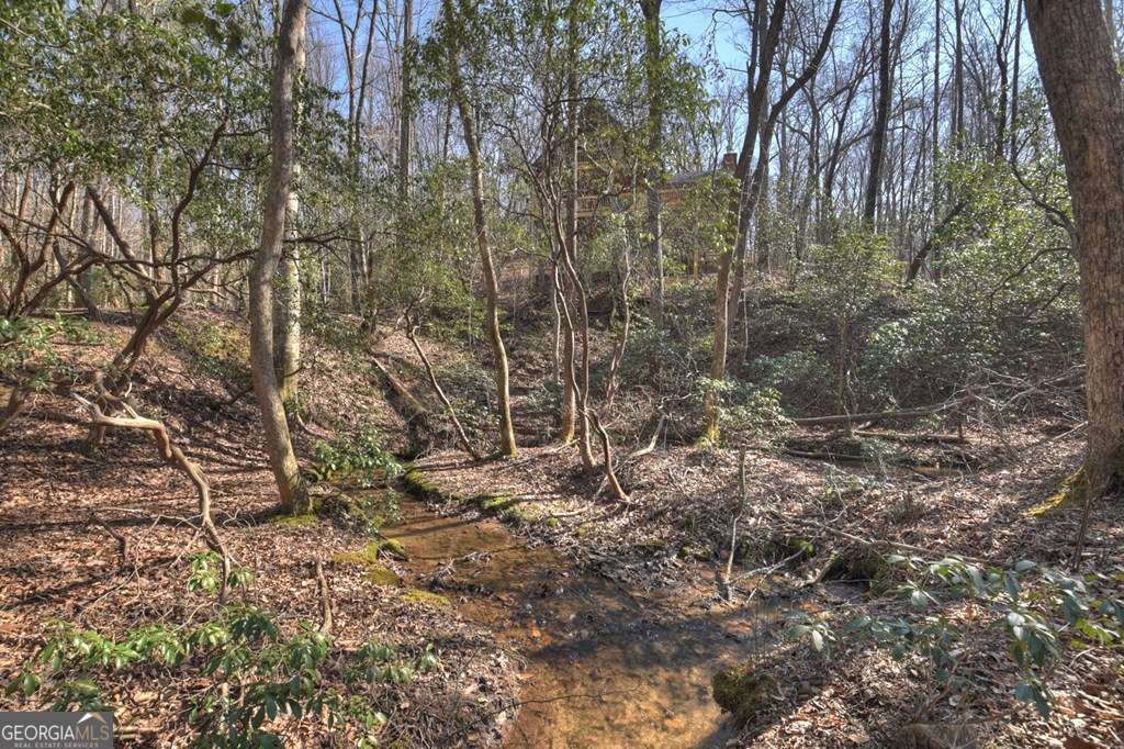 Endless Adventure Awaits where the Heart of the Cohutta Wilderness Are – image 38