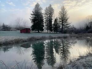 Offering One of the Most Beautiful Farms in Nicholas County A Rare opp – image 54